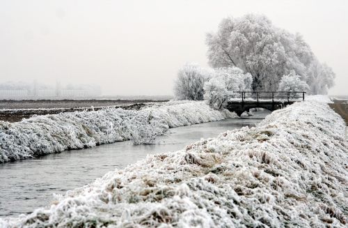 landscape winter field