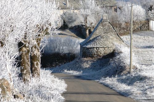 landscape winter hoarfrost