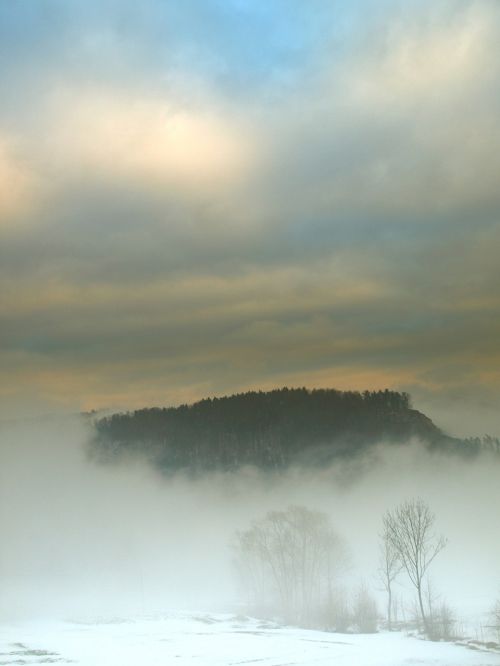 landscape winter the fog