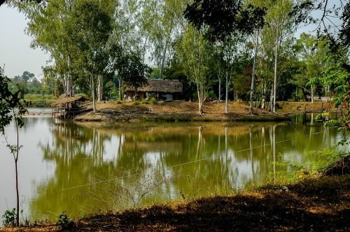 landscape lake trees