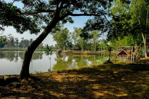 landscape lake trees