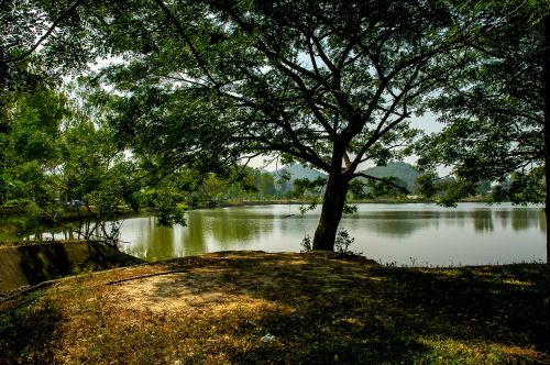 landscape lake trees