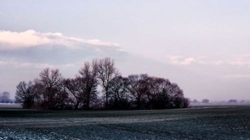 landscape winter snow