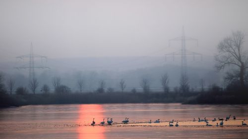 landscape winter fog