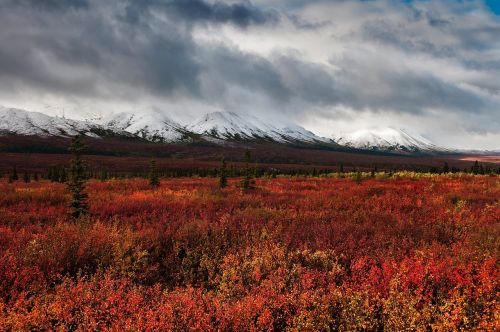 landscape autumn mountains