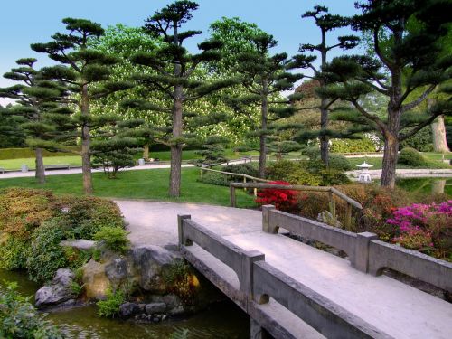 landscape japanese garden garden