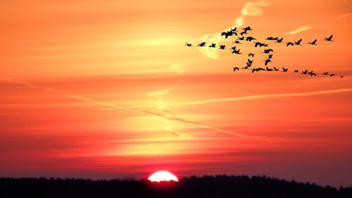 landscape sunrise sky