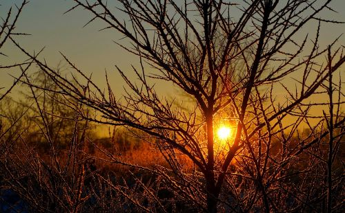 landscape view nature