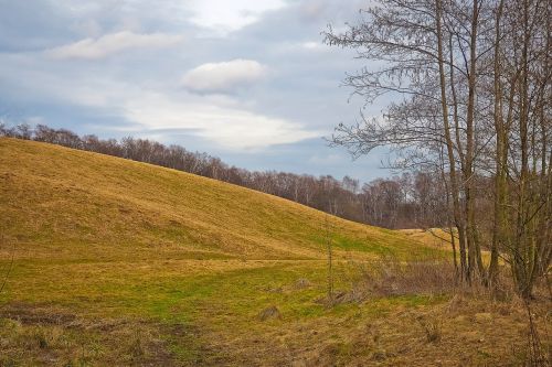 landscape nature meadow