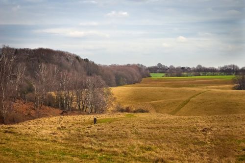 landscape nature meadow