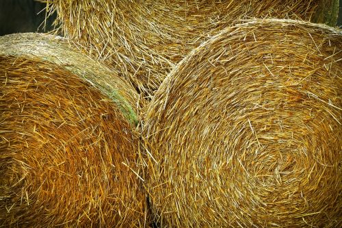 landscape hay bales agriculture