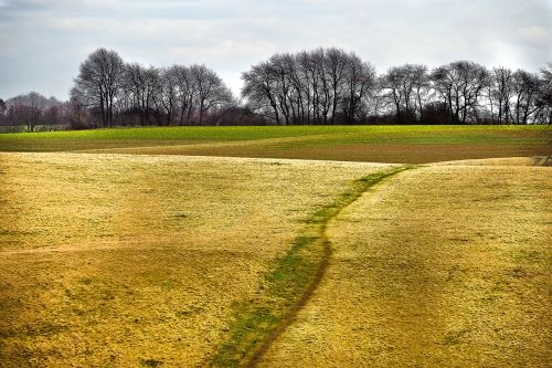 landscape nature meadow