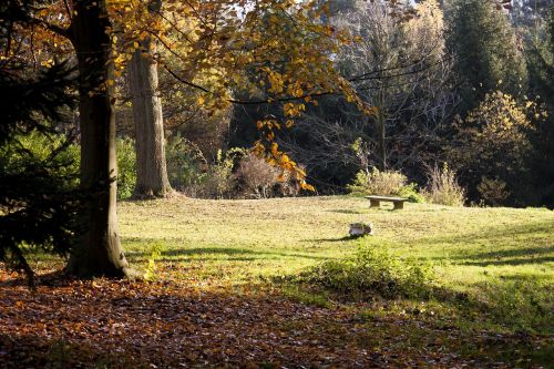 landscape fall trees