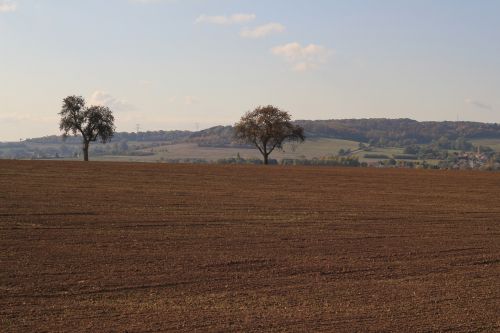 landscape fields harvest