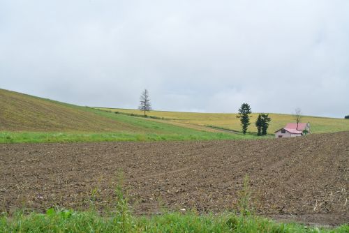 landscape natural hokkaido