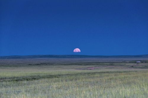 landscape mongolia plains