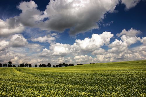 landscape field clouds