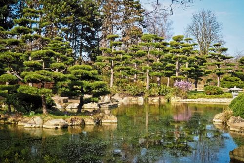 landscape garden japanese garden