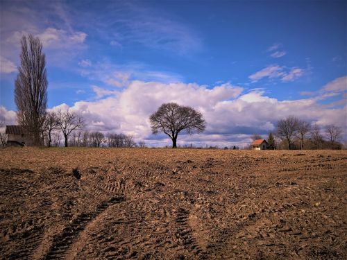 landscape trees sky