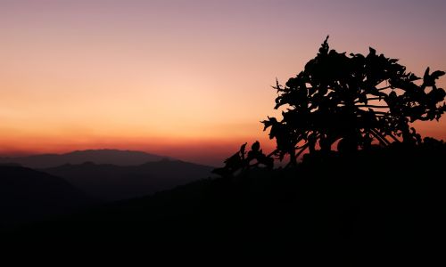landscape sunset silhouette