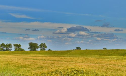 landscape sky cornfield