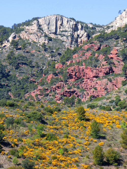 landscape priorat red sandstone