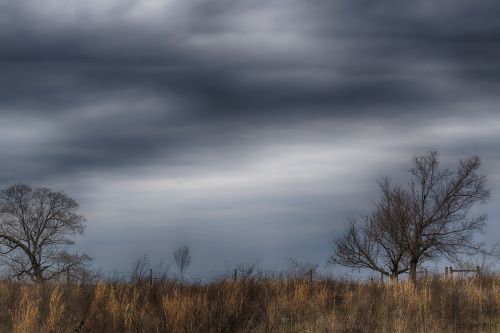 landscape country rural