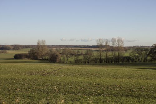 landscape nature meadow