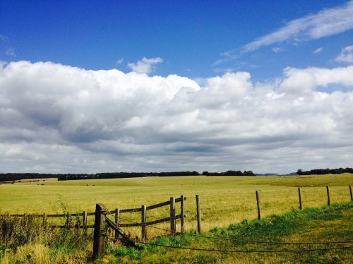 landscape nature view