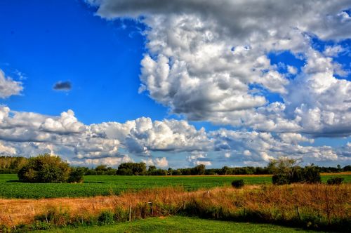 landscape rural field