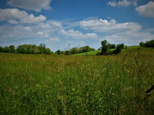 landscape nature my green valley