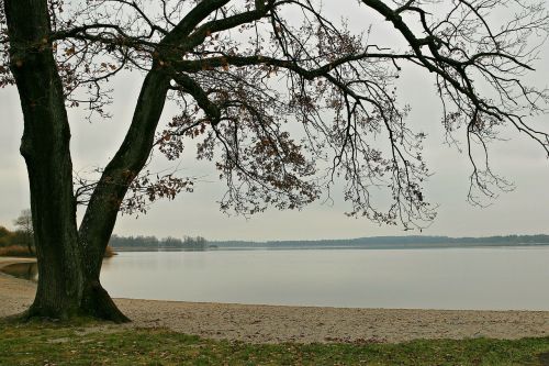landscape nature lake
