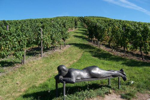 landscape sculpture vineyard