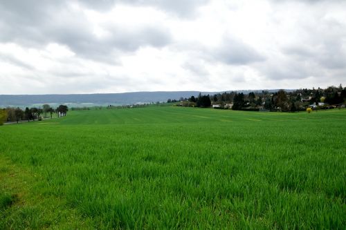 landscape field spring