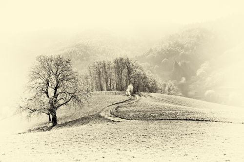 landscape monochrome black and white