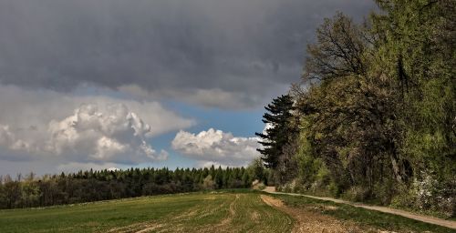 landscape clouds forest