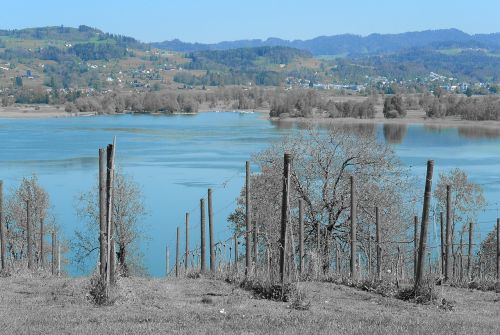 landscape lake pfäffikersee