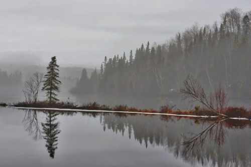 landscape nature fog