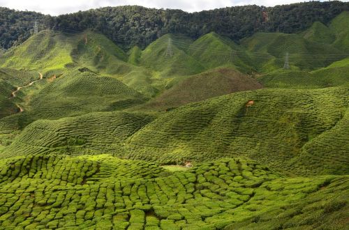 landscape wilderness scenery