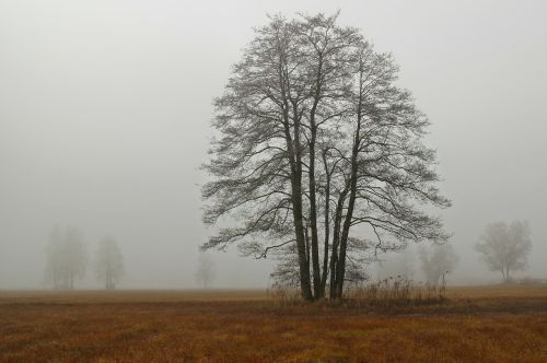 landscape fog haze