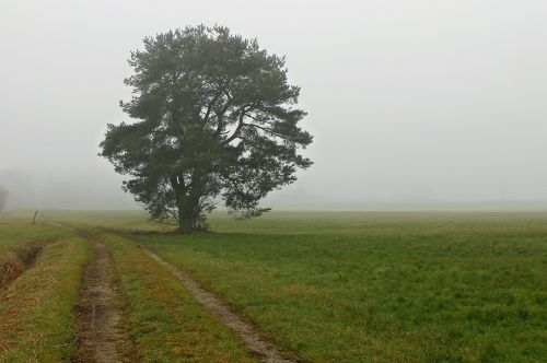 landscape fog haze