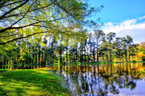 landscape nature lake