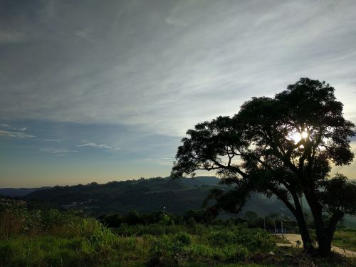 landscape sky tree