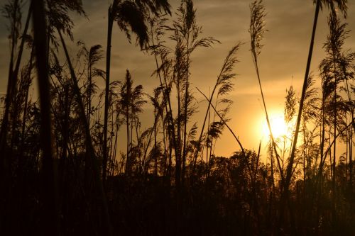 landscape sunset light