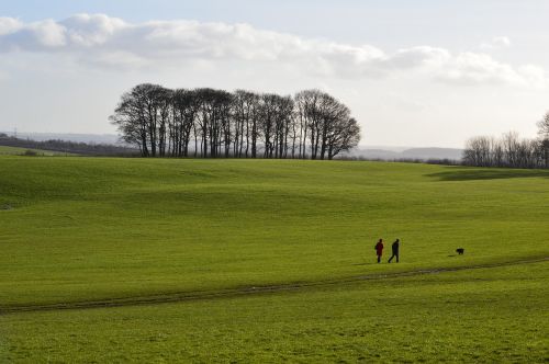 landscape field nature