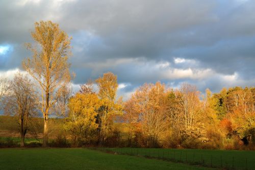 landscape nature autumn mood