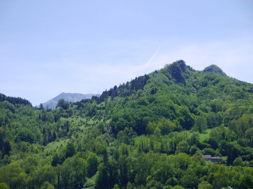 landscape forest mountain