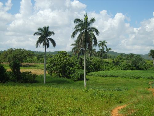 landscape cuba vinales