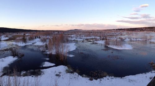 landscape nature water