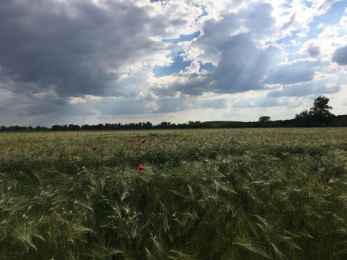 landscape sky field